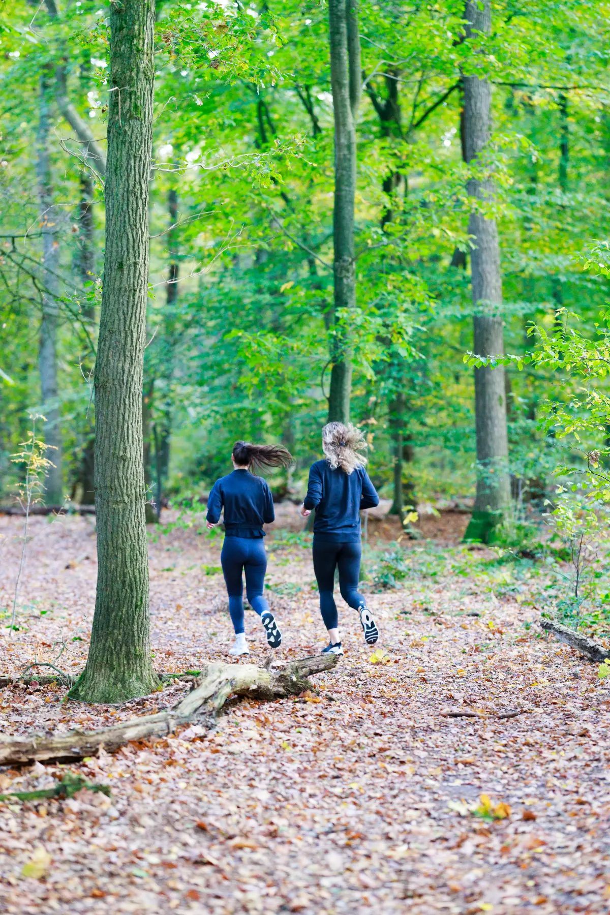 Hardlopen in het bos Personal Training